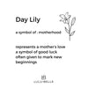 Lily personalised chain gold - Lulu + Belle Jewellery